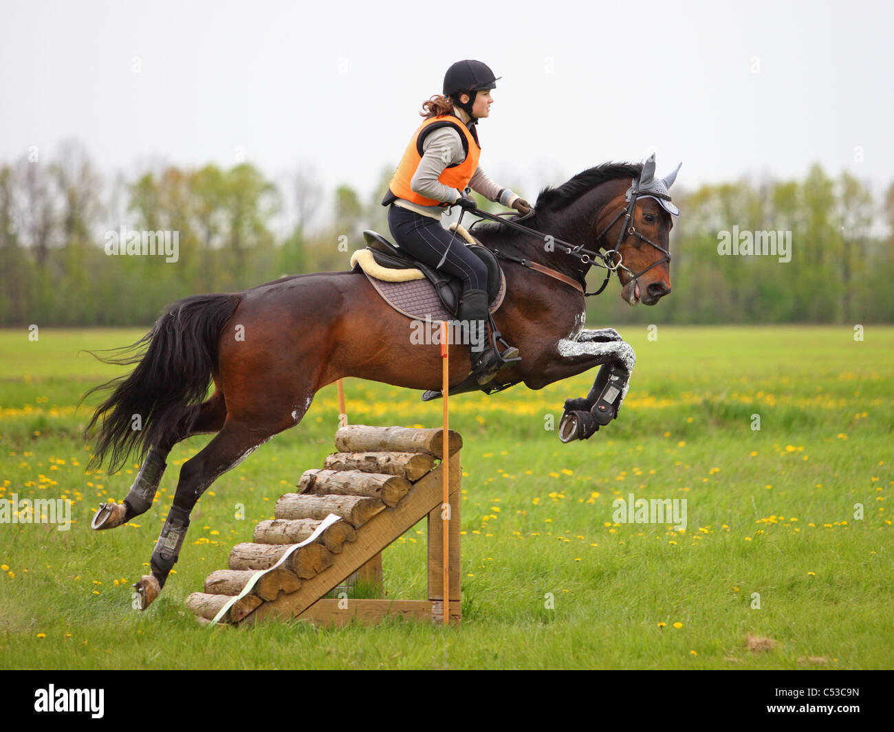 Un centre d'un saut de cheval Banque D'Images