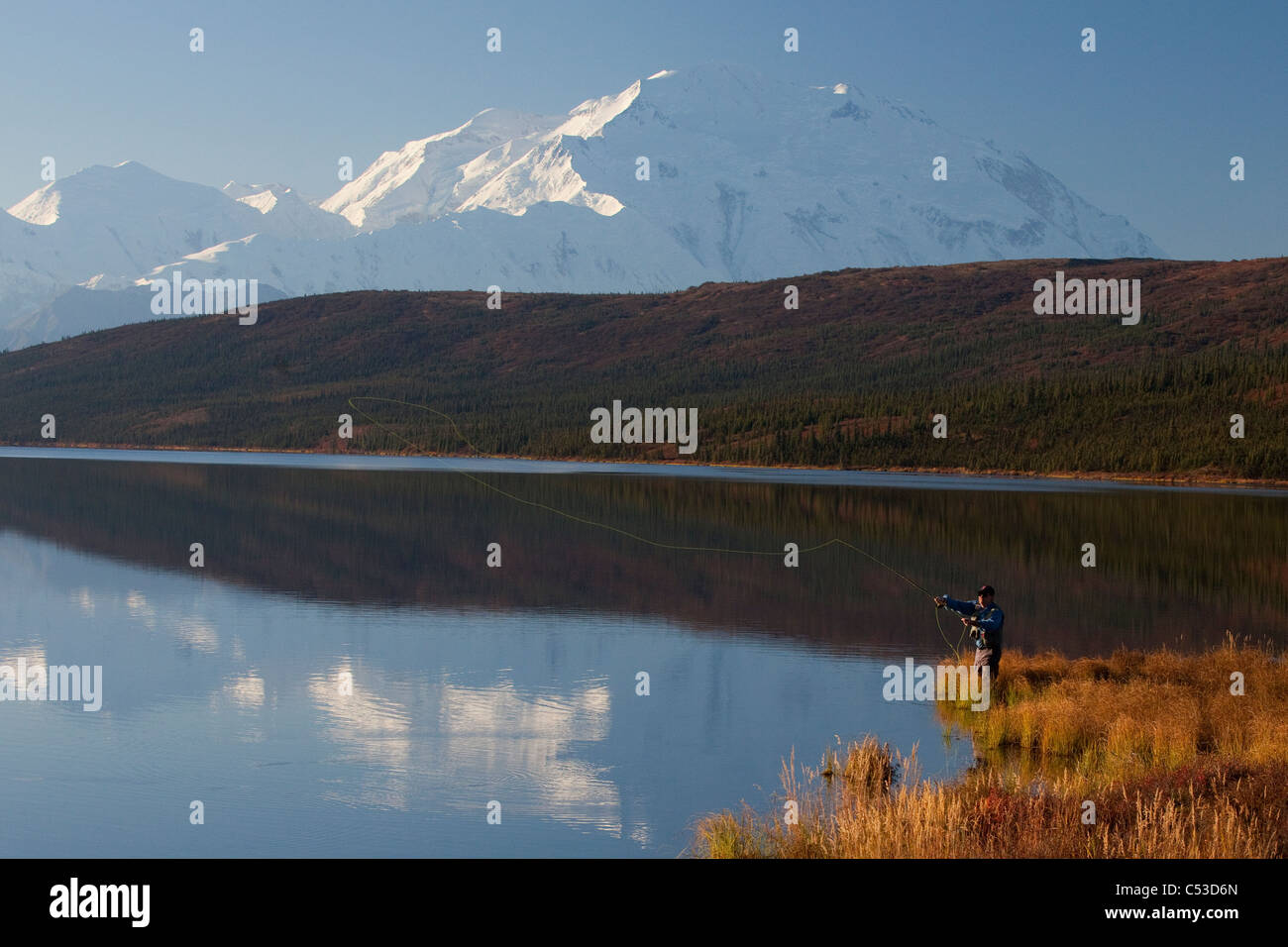 La pêche à la mouche au casting étonnant lac avec Mt. McKinley dans l'arrière-plan, le Parc National Denali et préserver, de l'Alaska Banque D'Images