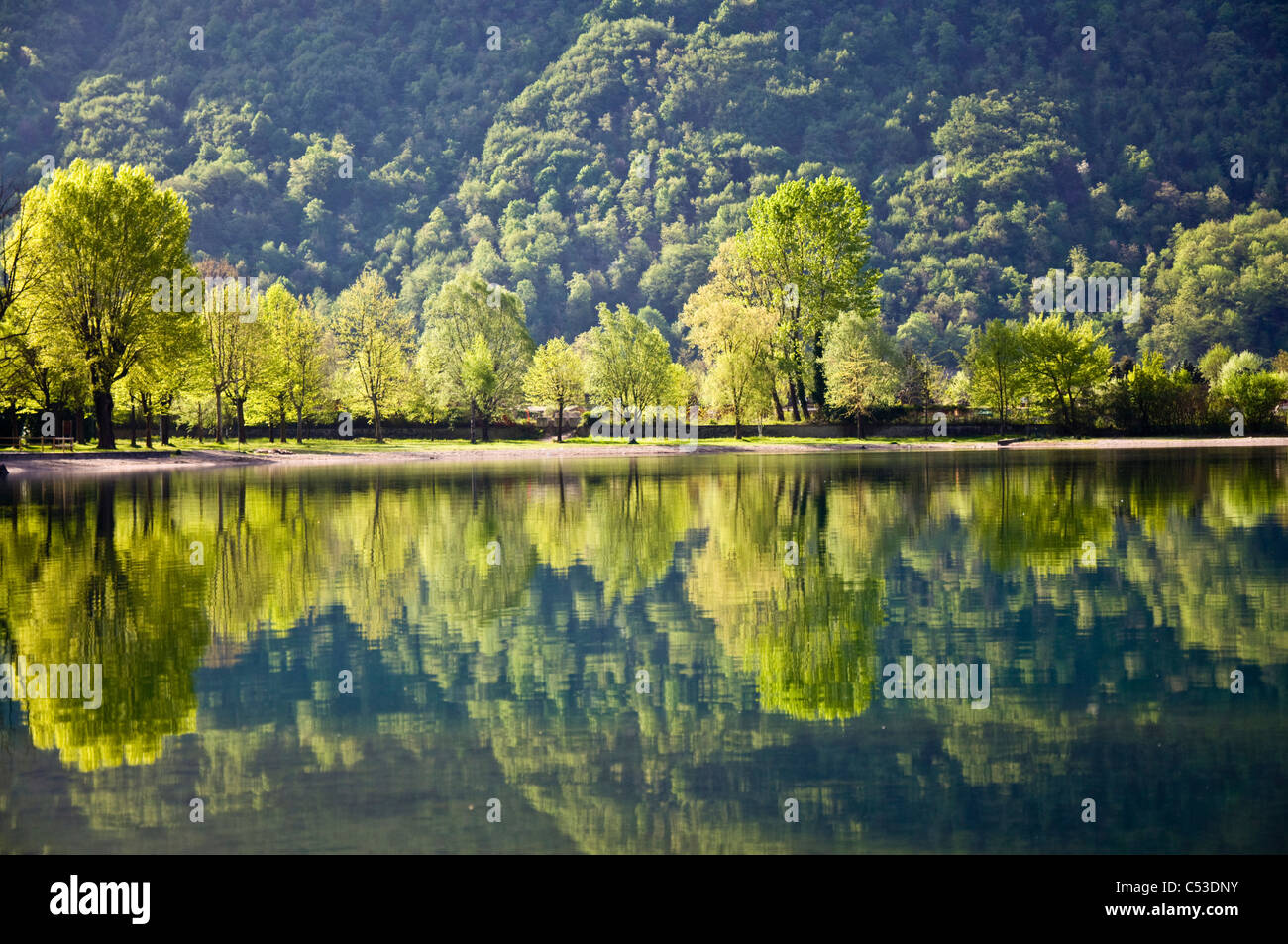 Arbres se reflétant dans le lac de Lugano à Porlezza Banque D'Images