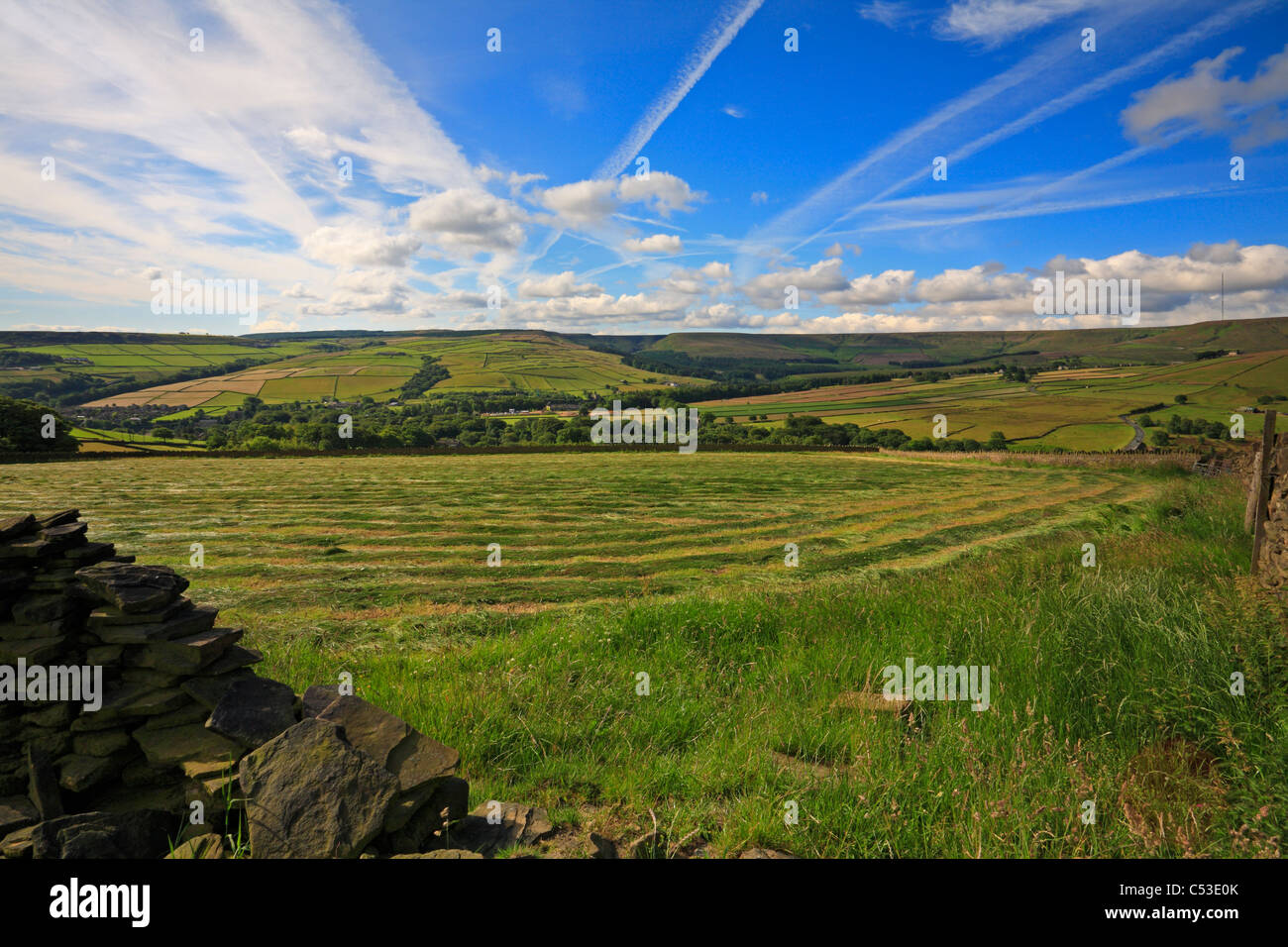 Ensilage fauché et champ de vue vers Ramsden Clough près de Holmfirth, West Yorkshire, Peak District National Park, Angleterre, Royaume-Uni. Banque D'Images