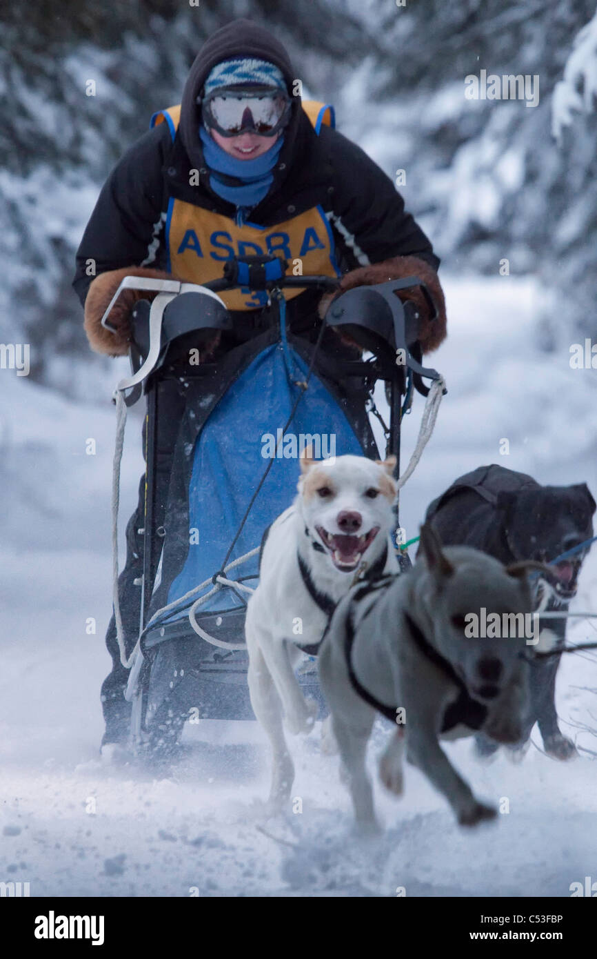 Dans la course de Musher Lake Memorial Race Tozier, Piste, Anchorage, Southcentral Alaska, Winter Banque D'Images