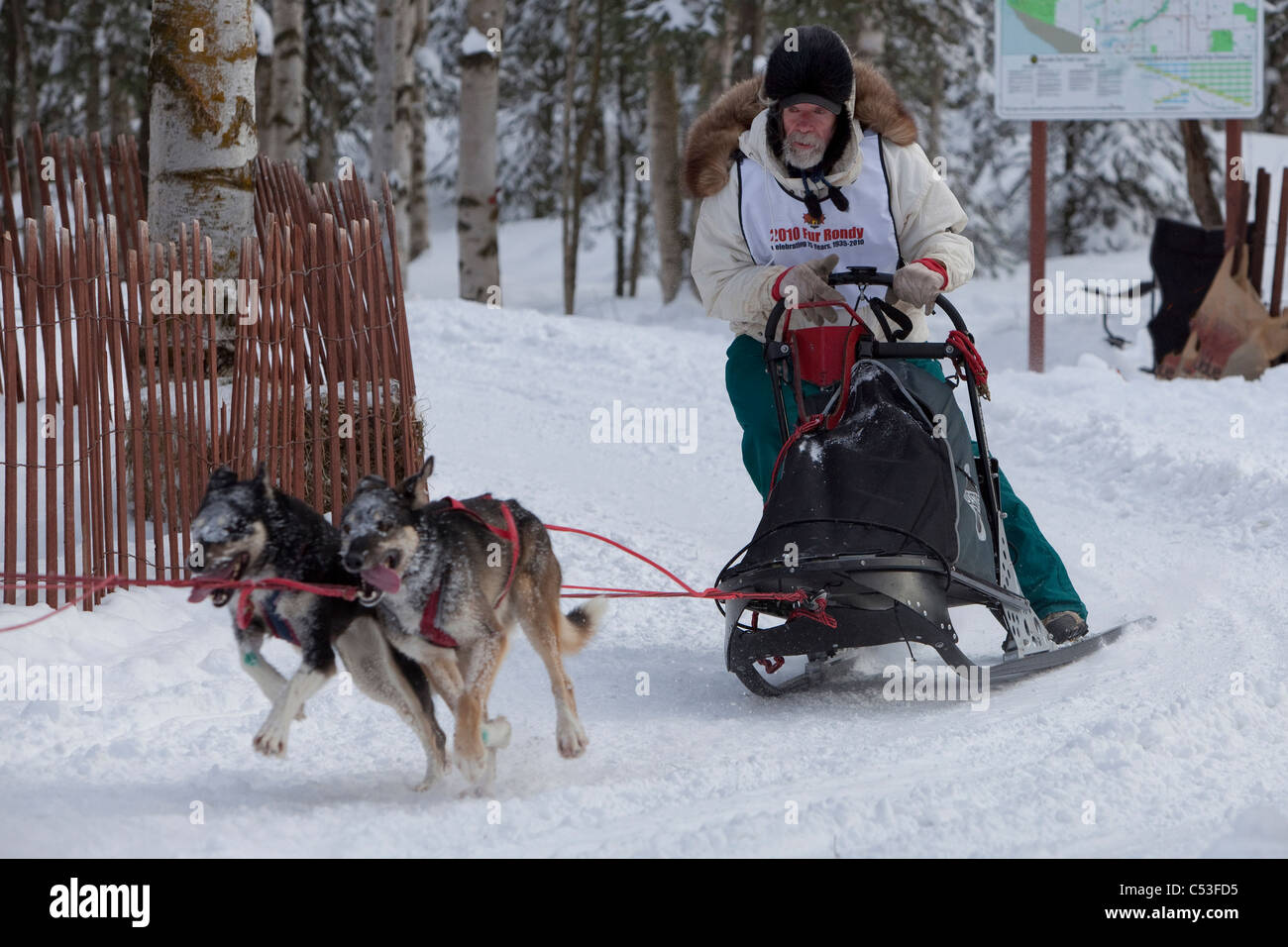L'équipe de projet et Kornmuller mushing au cours de la fourrure de chien de traîneau 2010 Rondy Championnats, Anchorage, Southcentral Alaska, Winter Banque D'Images