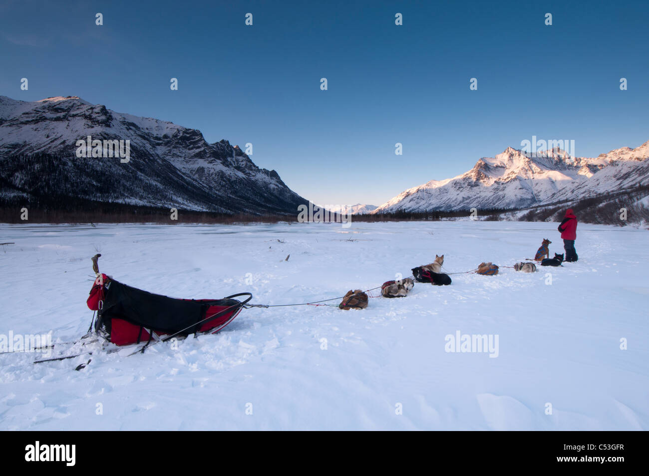 Des rangers du Parc national incombe à l'équipe son chien sur l'embranchement nord de la rivière Koyukuk au coucher du soleil, Brooks Range, Alaska Banque D'Images