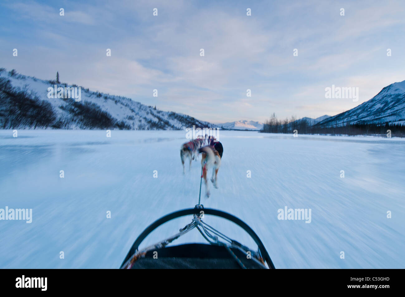 Vue du Musher mushing vers le bas tandis que l'embranchement nord de la rivière Koyukuk dans Gates of the Arctic National Park , Alaska Banque D'Images