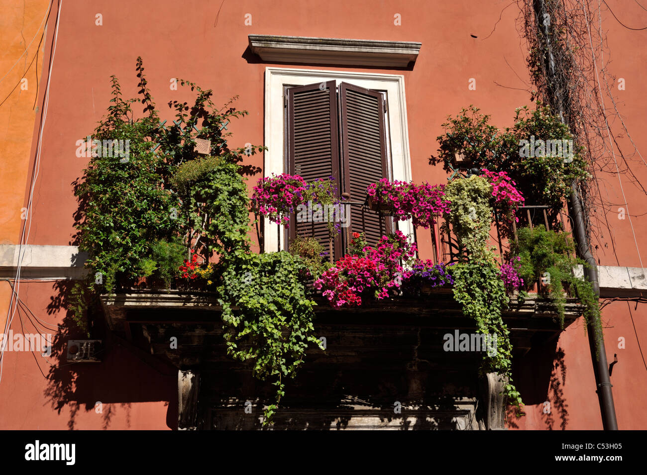 Italie, Rome, maison, balcon avec fleurs Banque D'Images