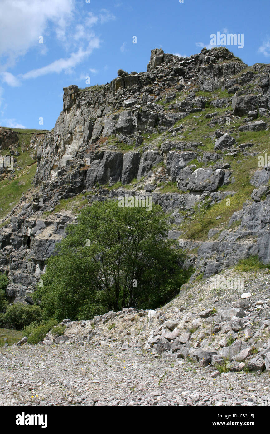 Carrière de Minera au Pays de Galles, UK maintenant une réserve de fiducie de la faune du Nord du Pays de Galles Banque D'Images