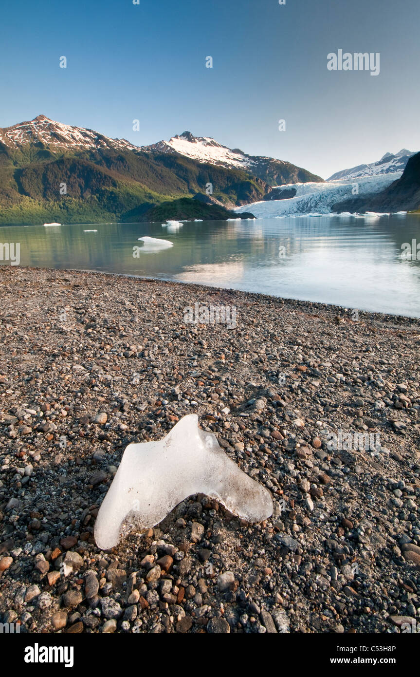 Vue panoramique d'icebergs flottant dans le lac Mendenhall Glacier Mendenhall avec en arrière-plan, Juneau, Alaska Banque D'Images