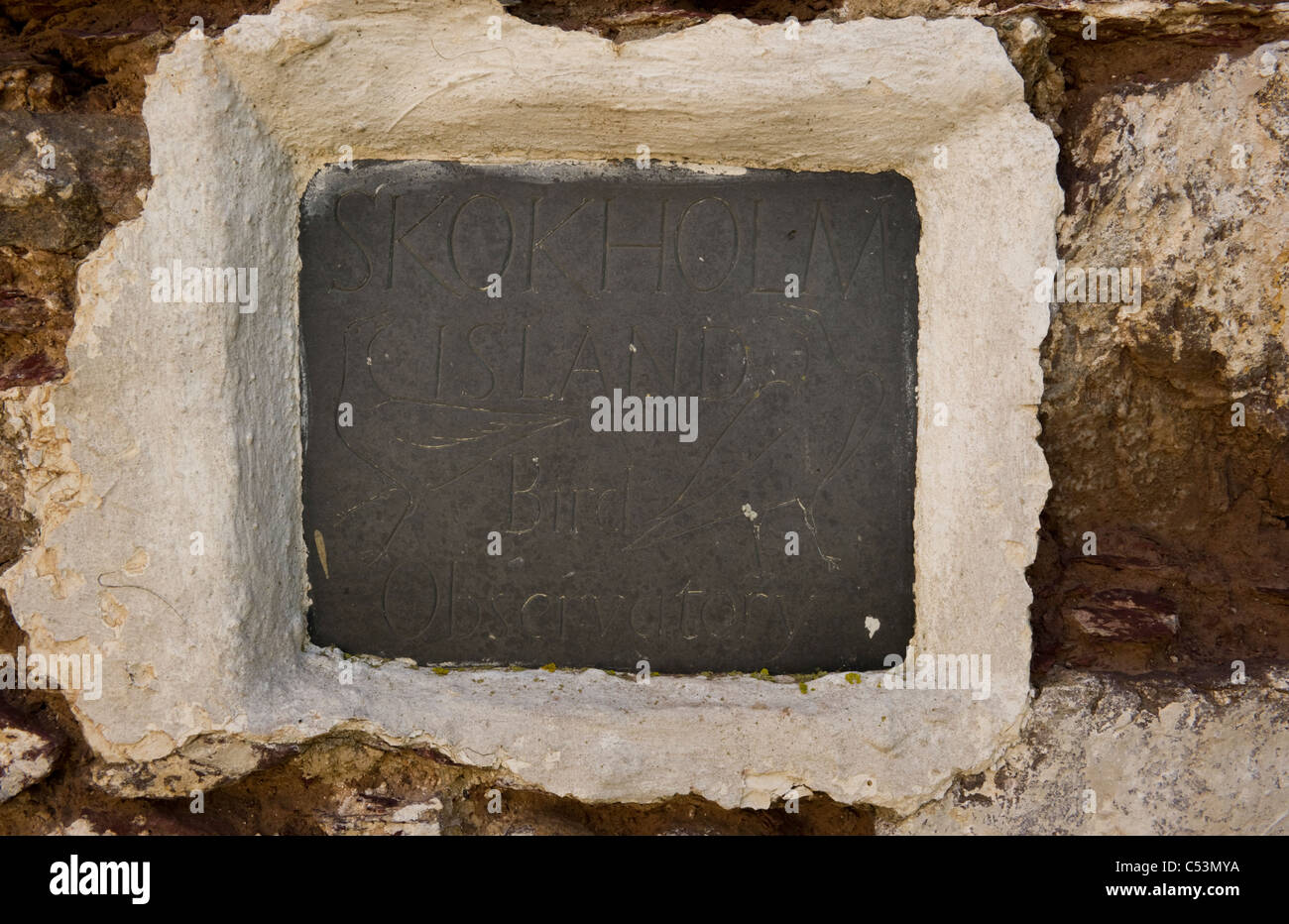 Observatoire d'oiseaux de l'île de Skokholm situé dans la plaque au mur d'un bâtiment classé Grade II Banque D'Images