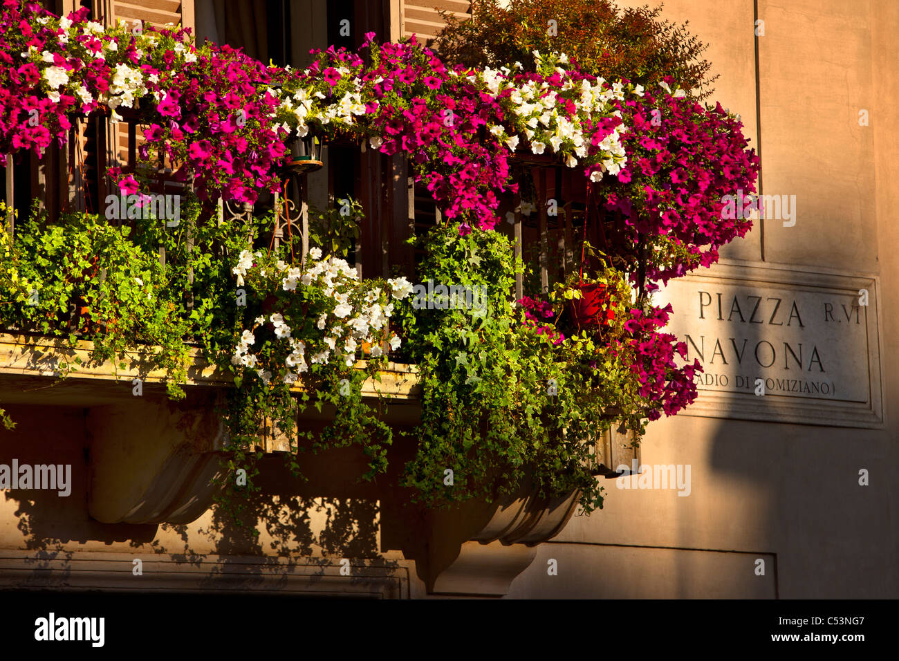 Tôt le matin la lumière jette des ombres sur balcon fleurs à Piazza Navona, Rome Lazio Italie Banque D'Images