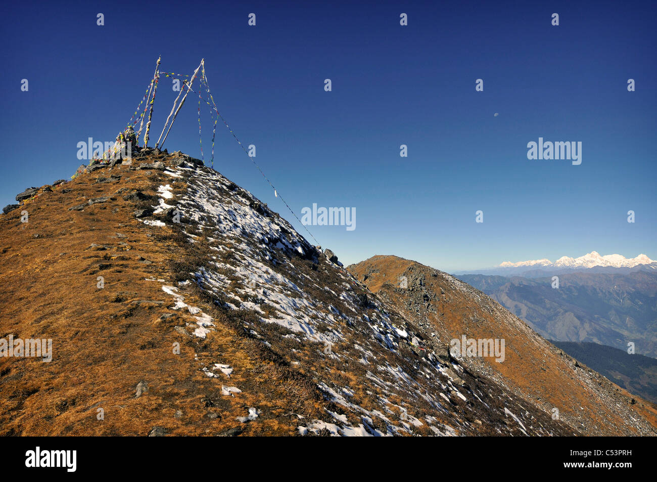 Une scène sur un trek dans la vallée de Langtang au Népal Banque D'Images