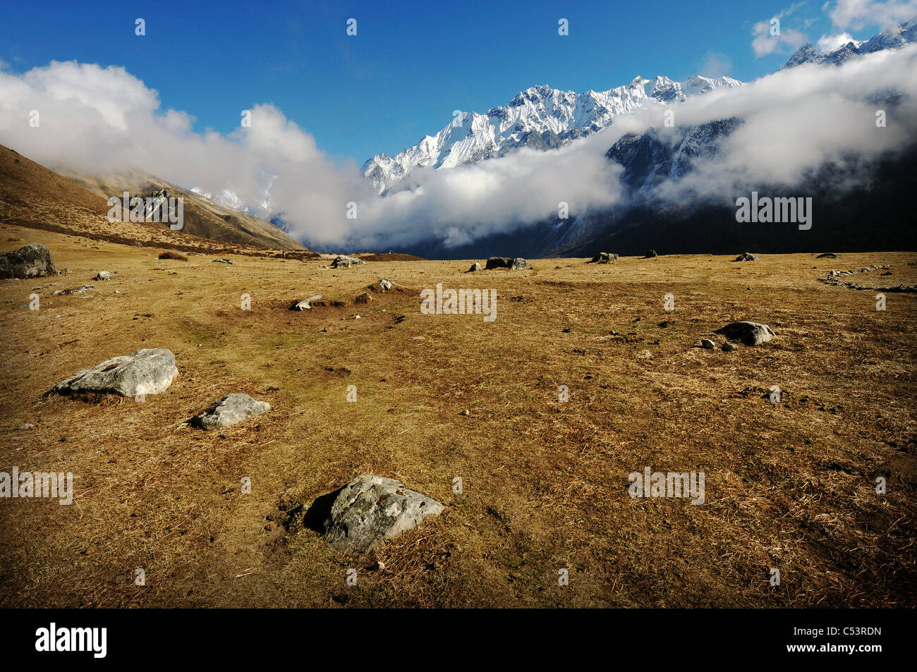 Une scène sur un trek dans la vallée de Langtang au Népal Banque D'Images
