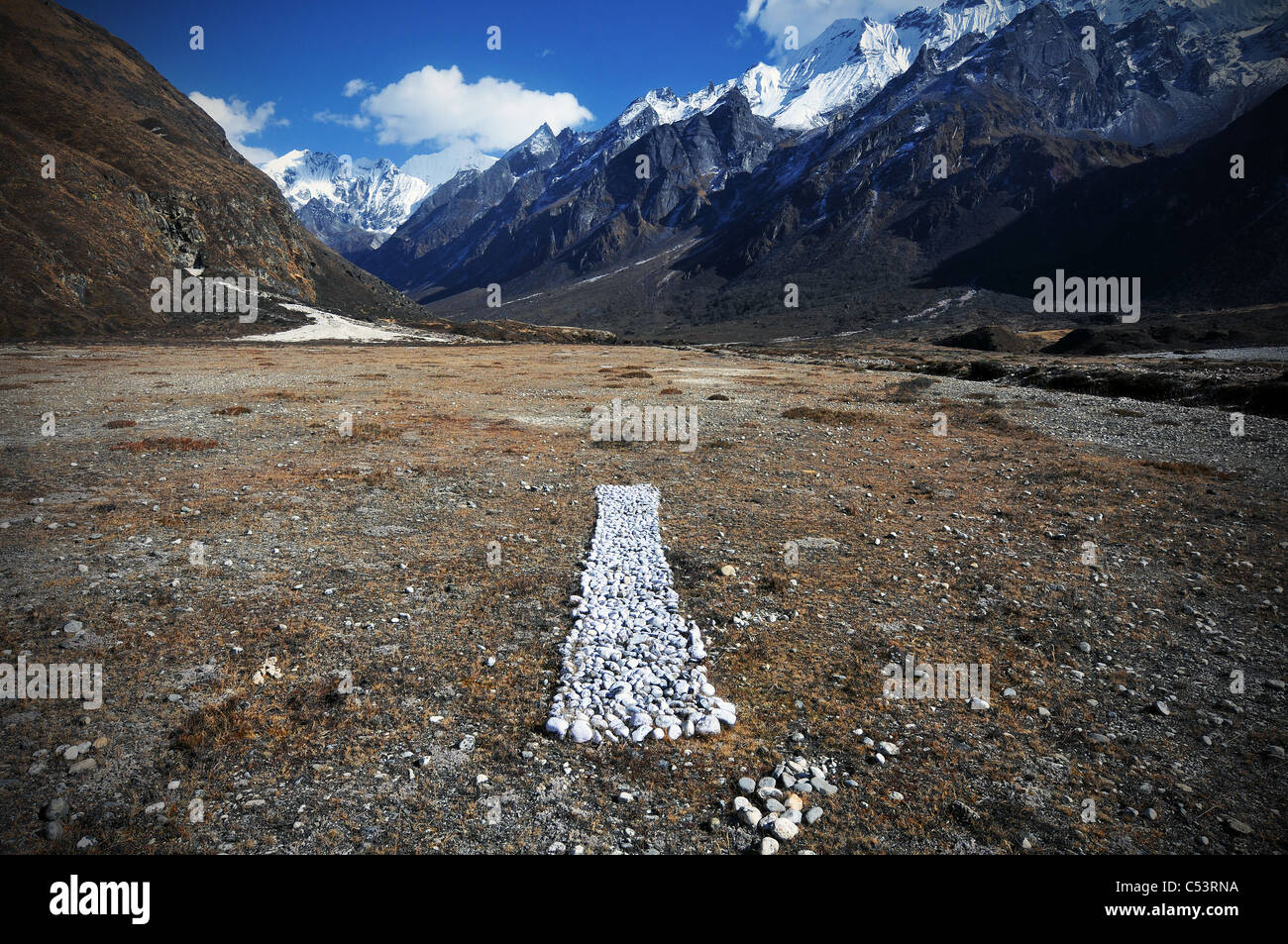 Une scène sur un trek dans la vallée de Langtang au Népal Banque D'Images