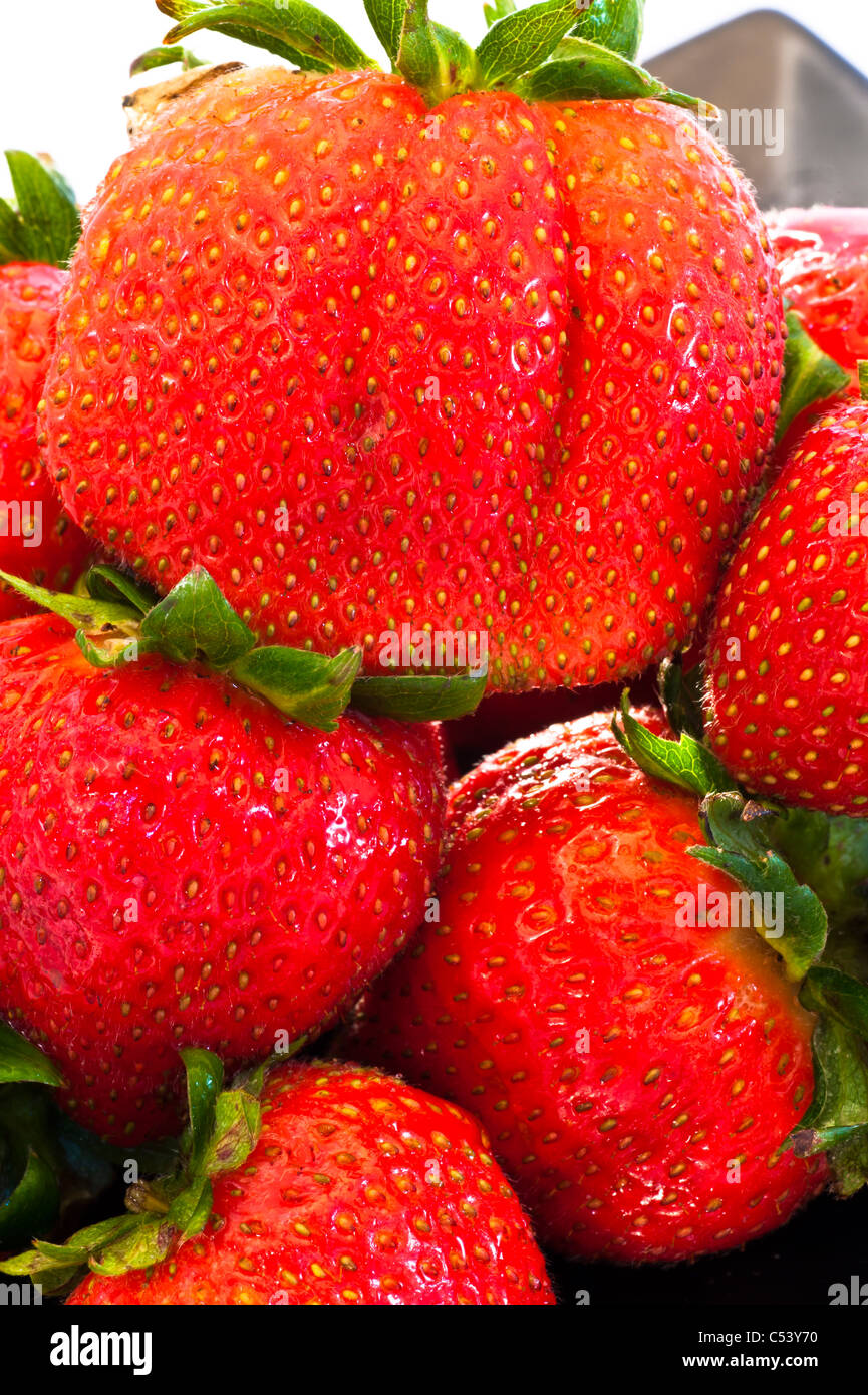 Fraises fraîches. Banque D'Images