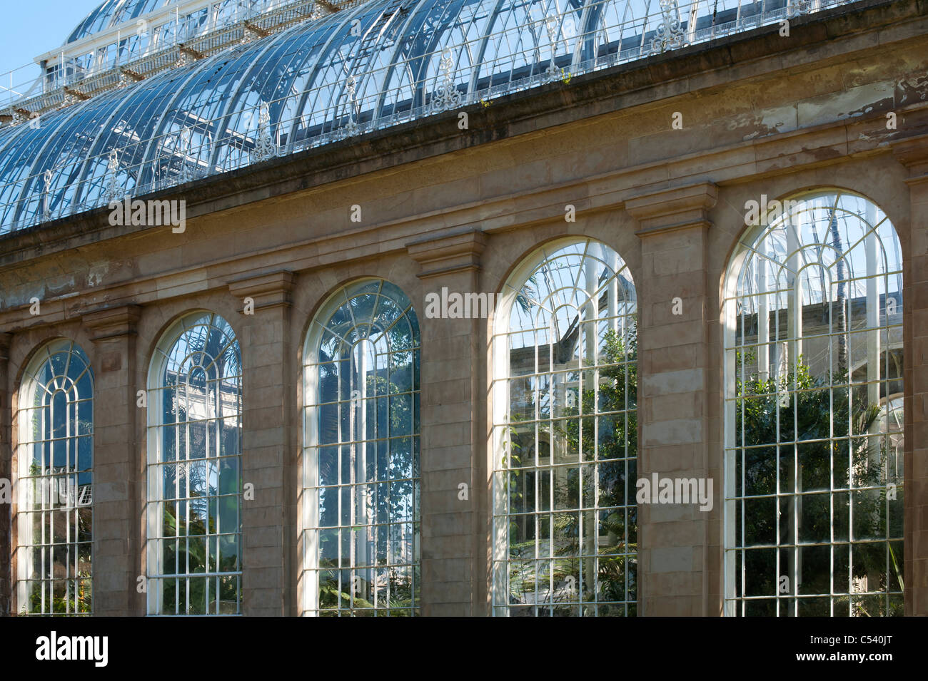 Europe Palm House, Royal Botanic Gardens, Édimbourg. L'Ecosse Banque D'Images