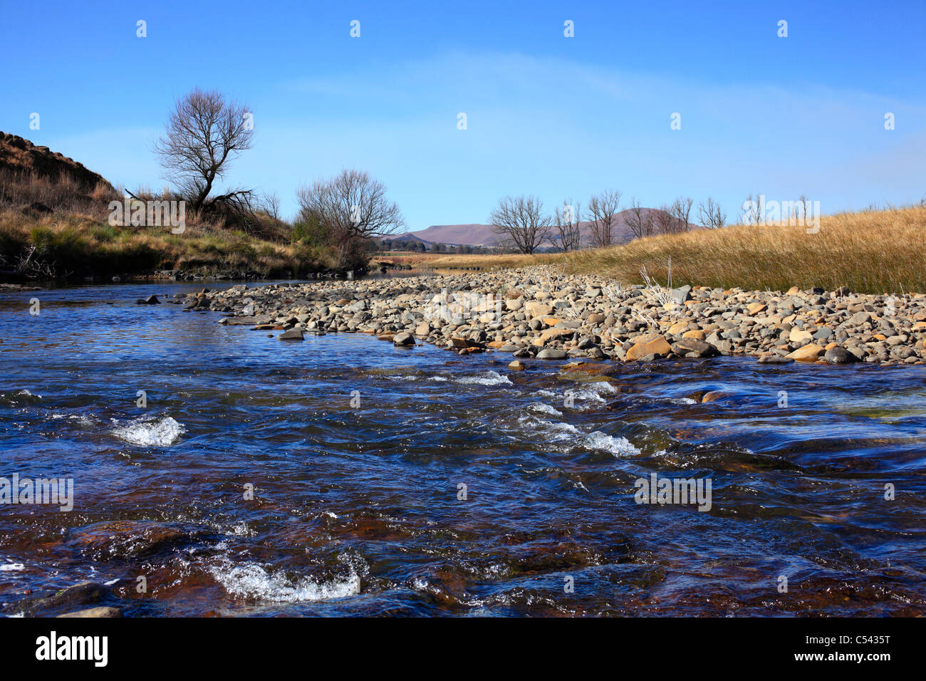 Niveau d'hiver d'un ruisseau de montagne au pied des montagnes du Drakensberg sud. Midlands, KwaZulu Natal, Afrique du Sud Banque D'Images