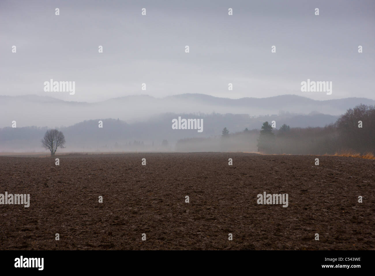 Les terres agricoles recouvertes d'une épaisse couche de brouillard et du paysage apparaissent les contours Banque D'Images