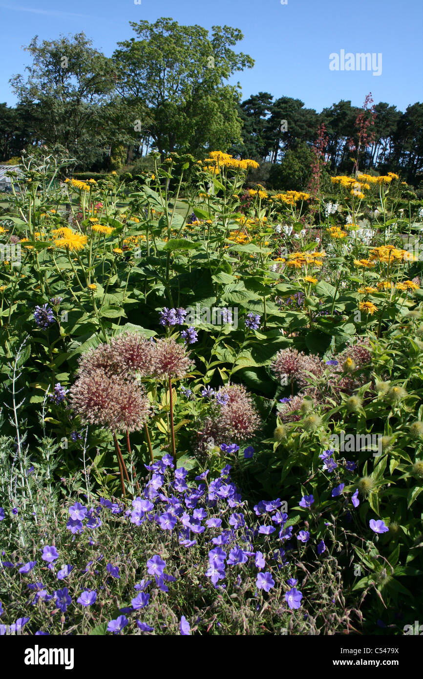 Lits à fleurs à Ness Botanic Gardens, Wirral, UK Banque D'Images