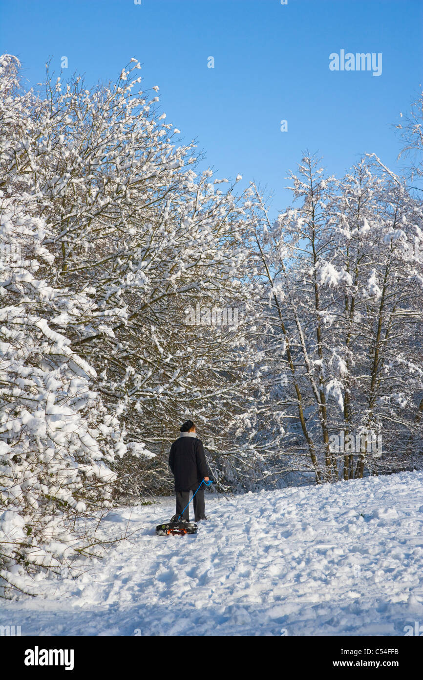 Paysages enneigés avec une femme tirant un traîneau, Burghfield Common, Reading, Berkshire, England, UK Banque D'Images