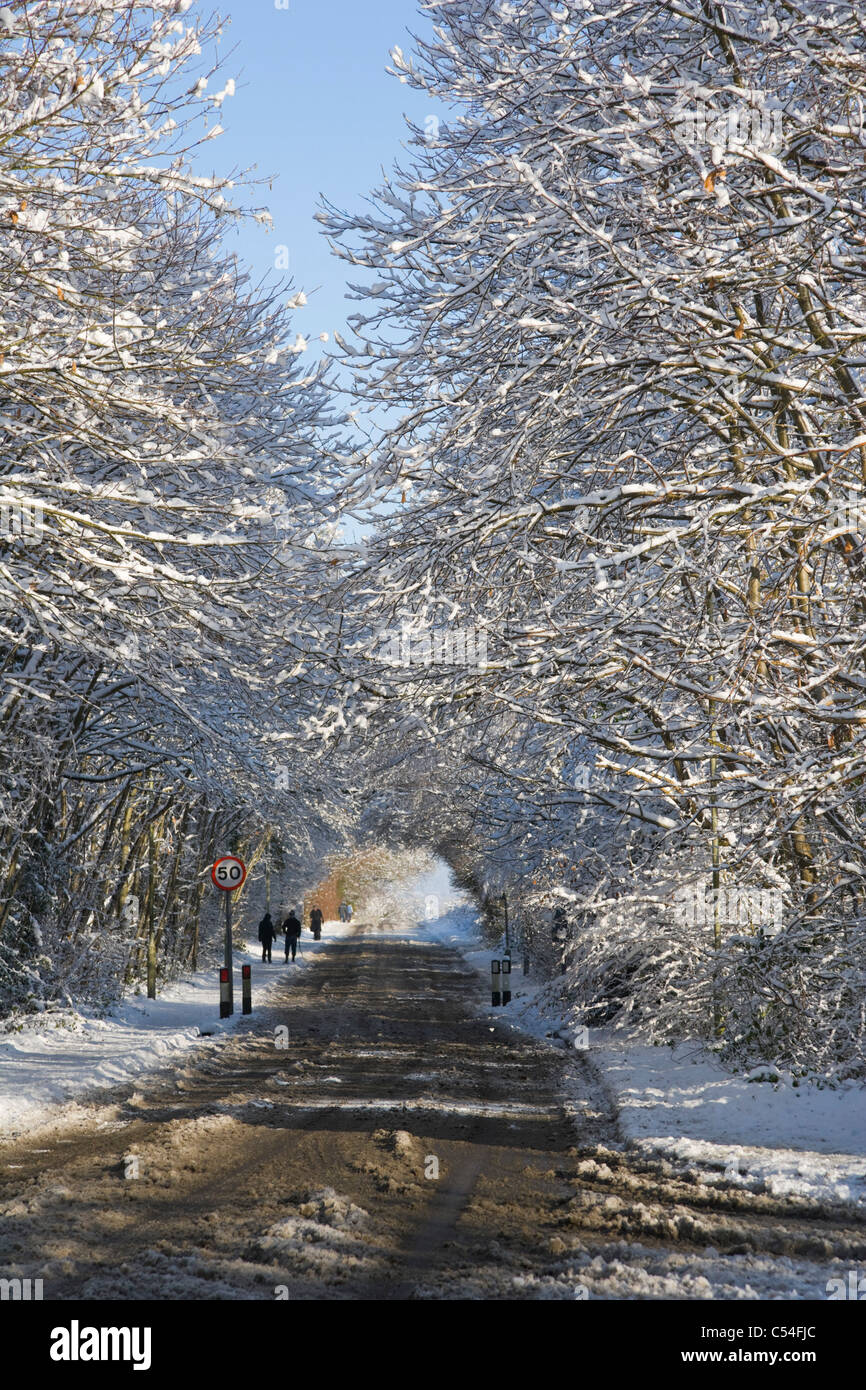 La route couverte de neige, Burghfield Common, Reading, Berkshire, England, UK Banque D'Images