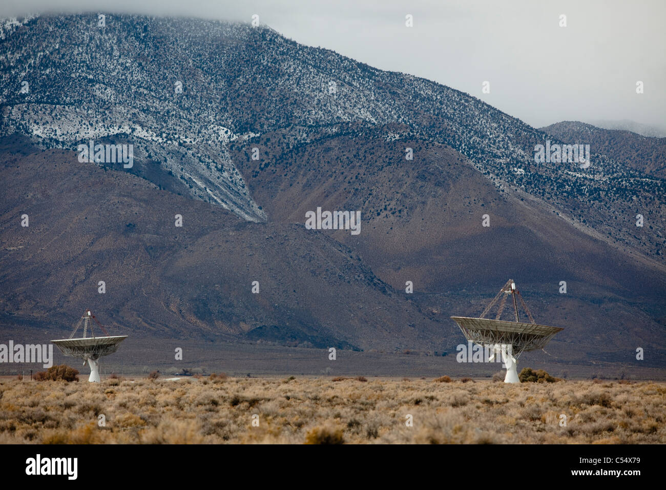 Les télescopes radio dans un champ, Owens Valley Radio Observatory, Owens Valley, California, USA Banque D'Images