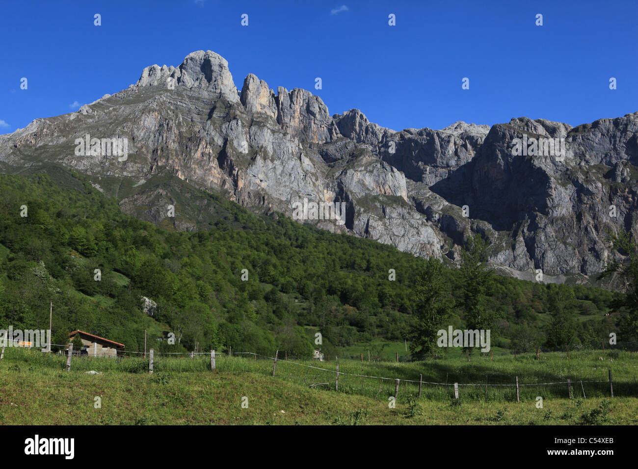 Amphithéâtre de partie de Los Urrieles, le bloc central de la Picos de Europa [calcaire] montagnes près de [de] Fuente, Cantabria Banque D'Images