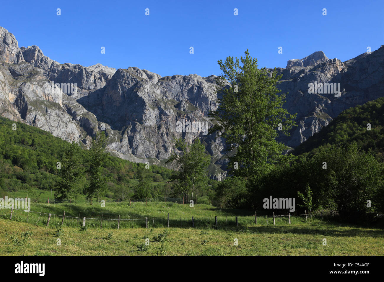 Amphithéâtre de partie de Los Urrieles, le bloc central de la Picos de Europa [calcaire] montagnes près de [de] Fuente, Cantabria Banque D'Images