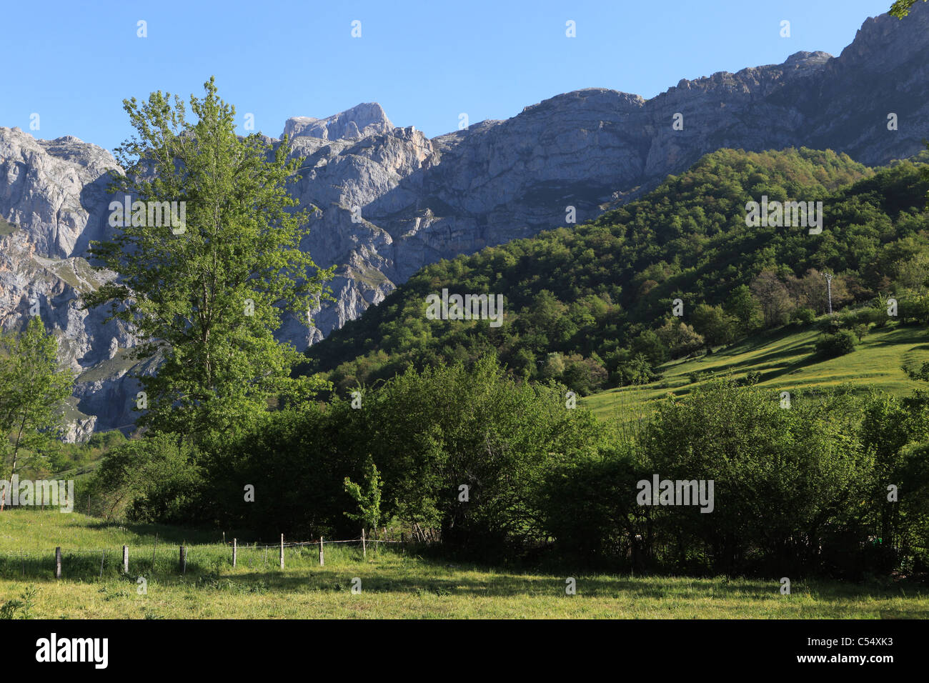 Amphithéâtre de partie de Los Urrieles, le bloc central de la Picos de Europa [calcaire] montagnes près de [de] Fuente, Cantabria Banque D'Images