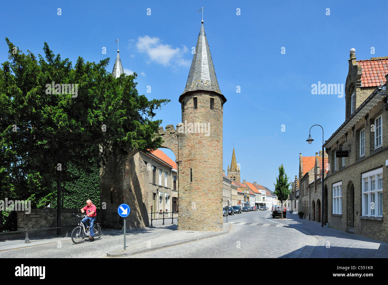 Arbre généalogique de César, un vieux taxus arbre près de l'entrée ouest à Lo-Reninge, Belgique Banque D'Images