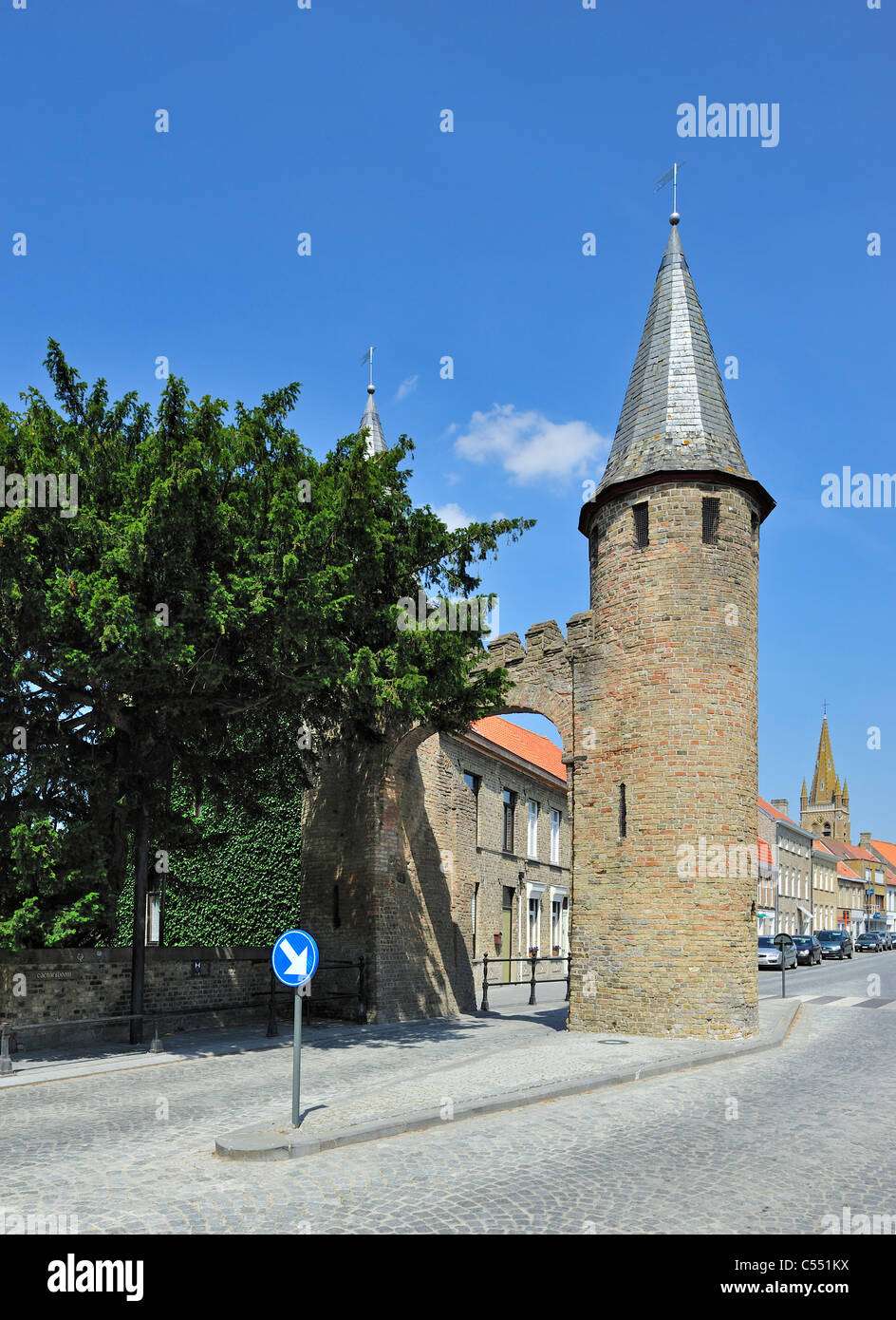 Arbre généalogique de César, un vieux taxus arbre près de l'entrée ouest à Lo-Reninge, Belgique Banque D'Images
