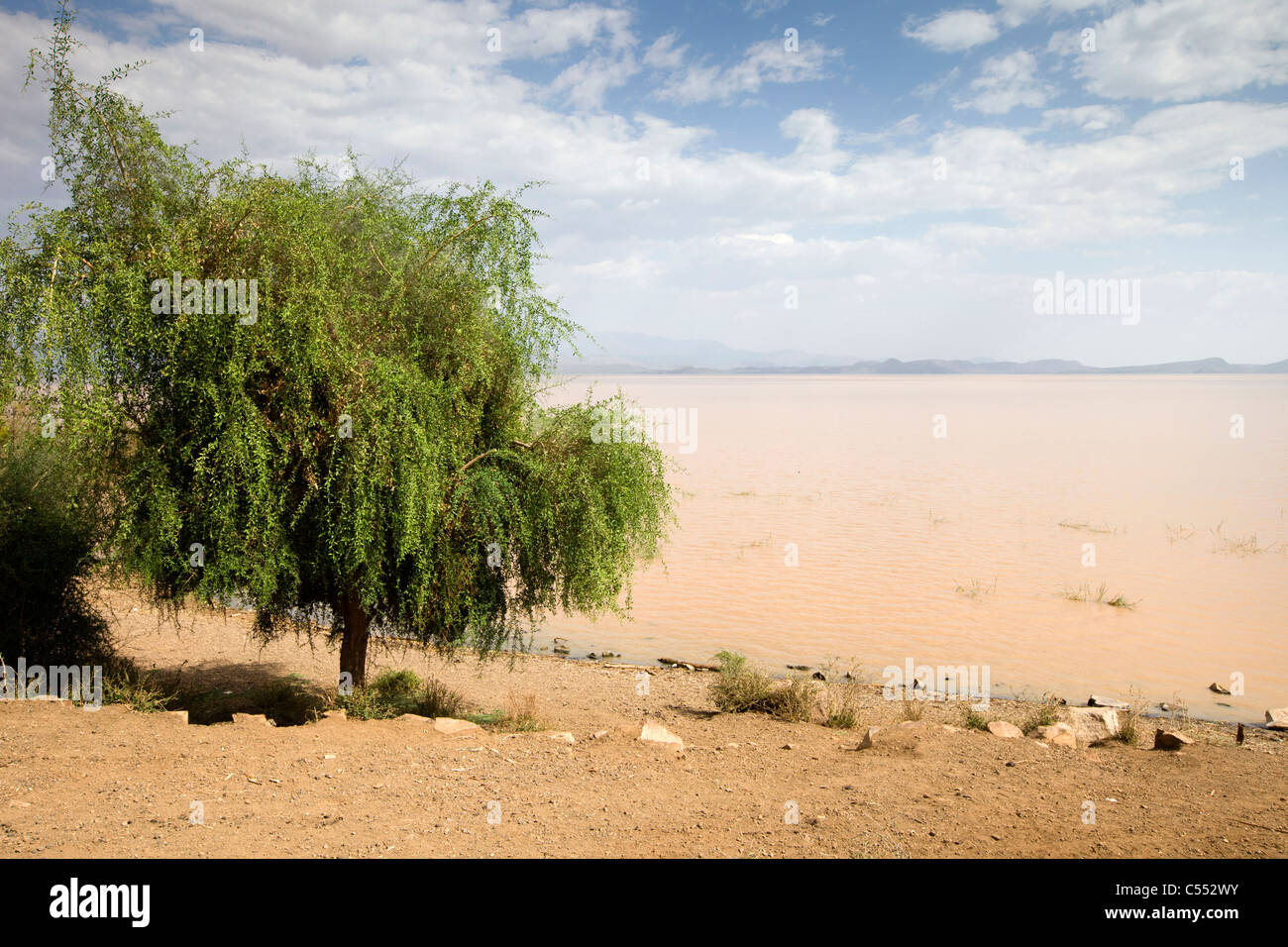 Vue du lac abaya, le sud de l'Éthiopie Photo Stock - Alamy