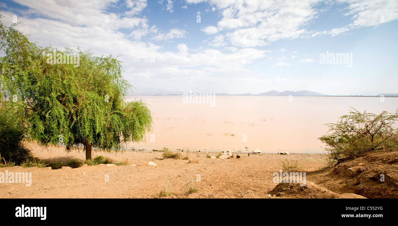 Abaya lake Banque de photographies et d'images à haute résolution - Alamy