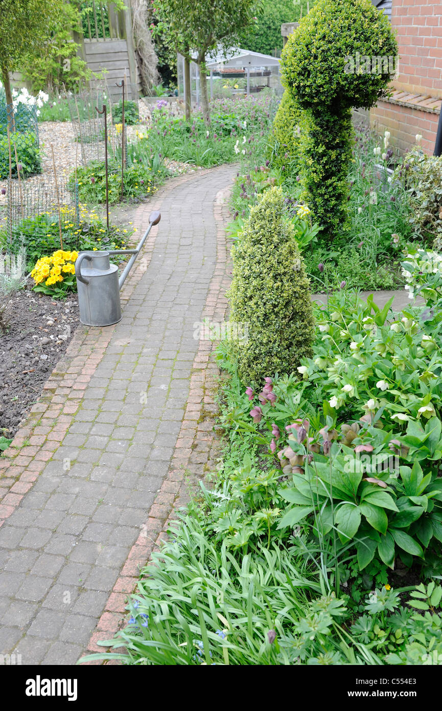 Chemin de jardin au printemps avec hellibores, serpents head fritillary et fort topiary, Norfolk, Angleterre, avril Banque D'Images