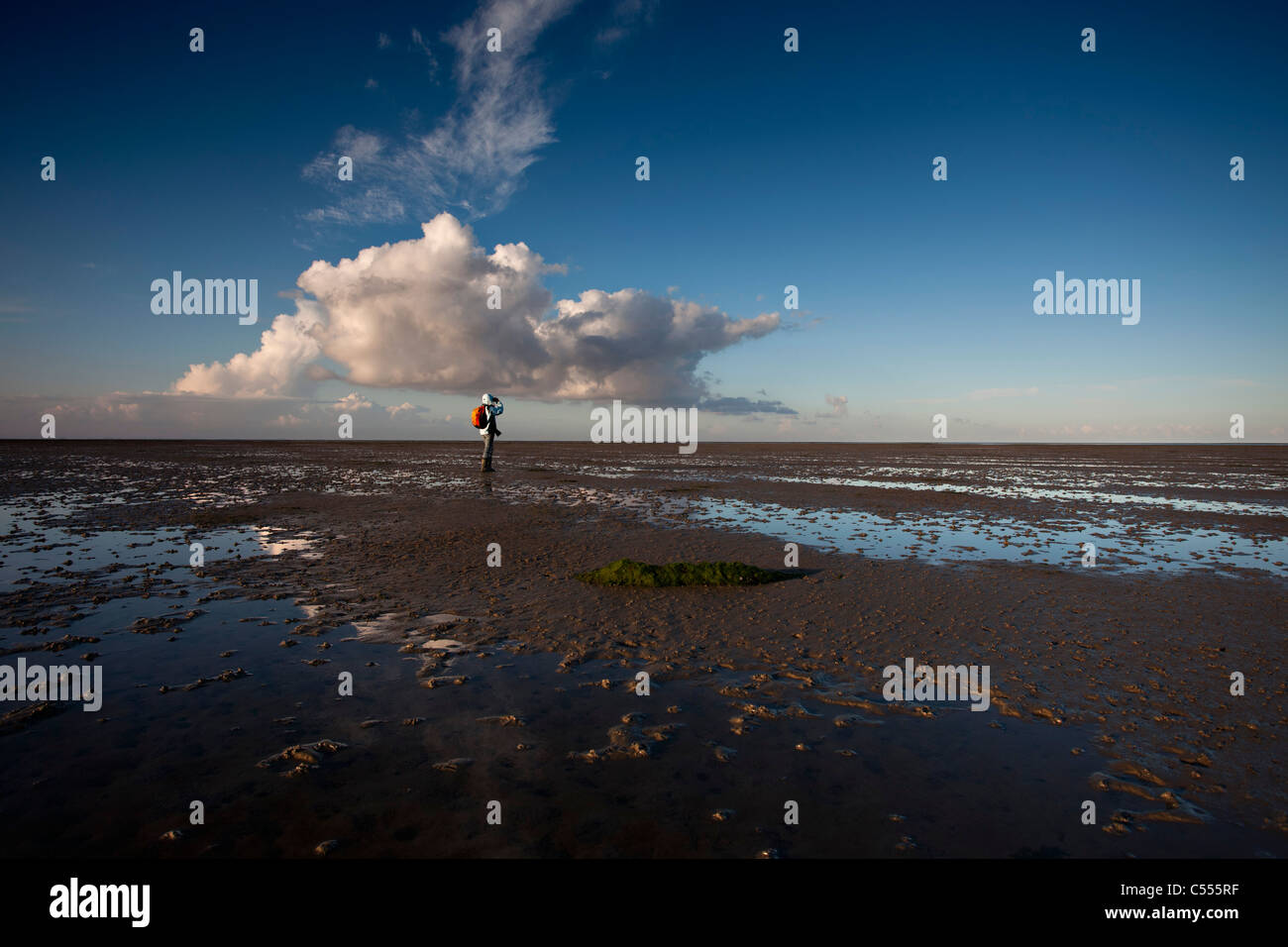 Les Pays-Bas, l'île d'Ameland, Hollum, appartenant à des îles de la mer des Wadden. Woman taking photo, les vasières. Le lever du soleil. Banque D'Images