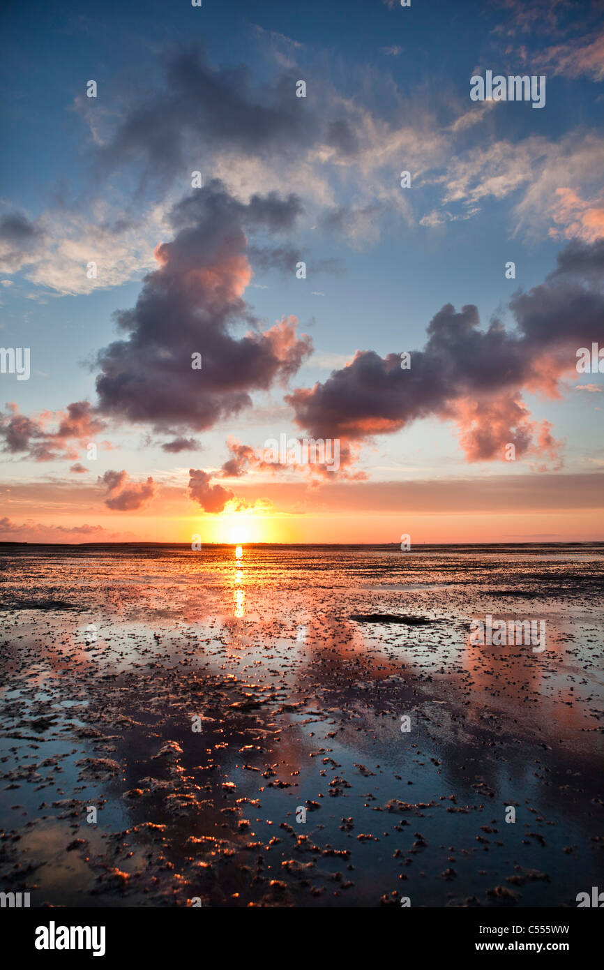 Les Pays-Bas, l'île d'Ameland, Buren, appartenant aux îles de la mer des Wadden. Unesco World Heritage Site. Les vasières. Le lever du soleil. Banque D'Images