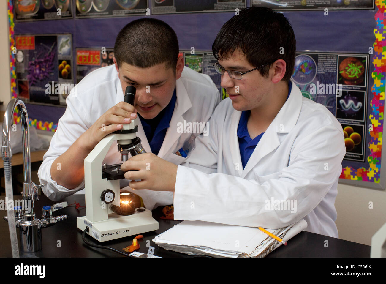 Les étudiants hispaniques porter des blouses de laboratoire lors de l'utilisation de microscope en biologie au début de la tige de classe College High School de Pharr Texas Banque D'Images