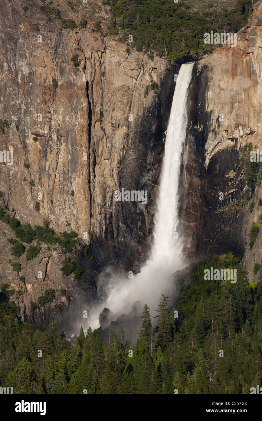 Le Parc National Yosemite chutes Bridal Veil Falls nous ressort soyeux le plein débit, la brume à la base au-dessus des arbres, révélant la lumière sur falaise low angle Banque D'Images