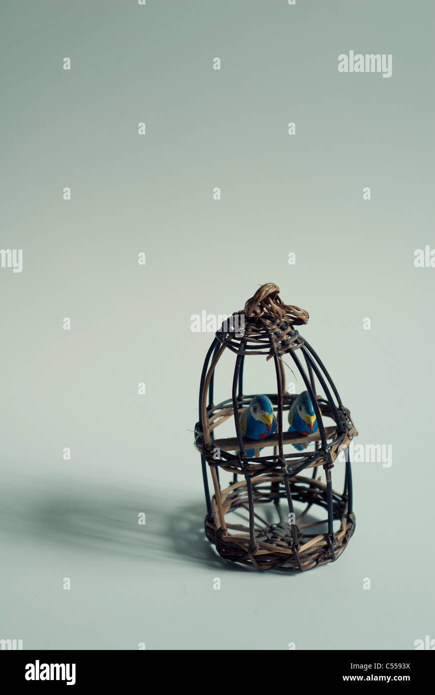 Cage en bois et les oiseaux Banque D'Images