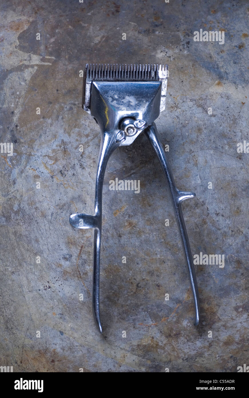 tondeuse cheveux ancienne