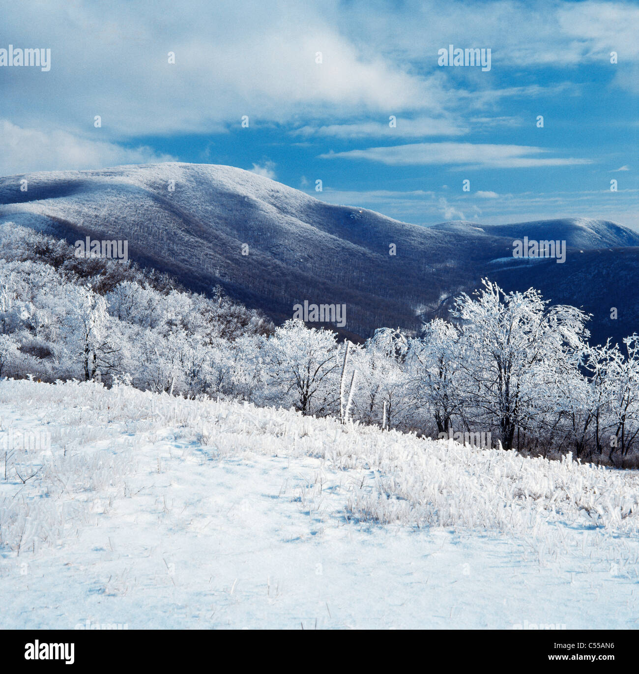 Blue Ridge Mountains Virginia USA Banque D'Images