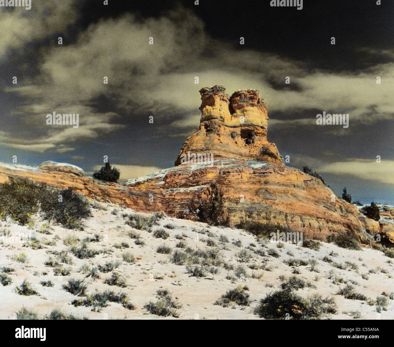 USA Wyoming Banque D'Images