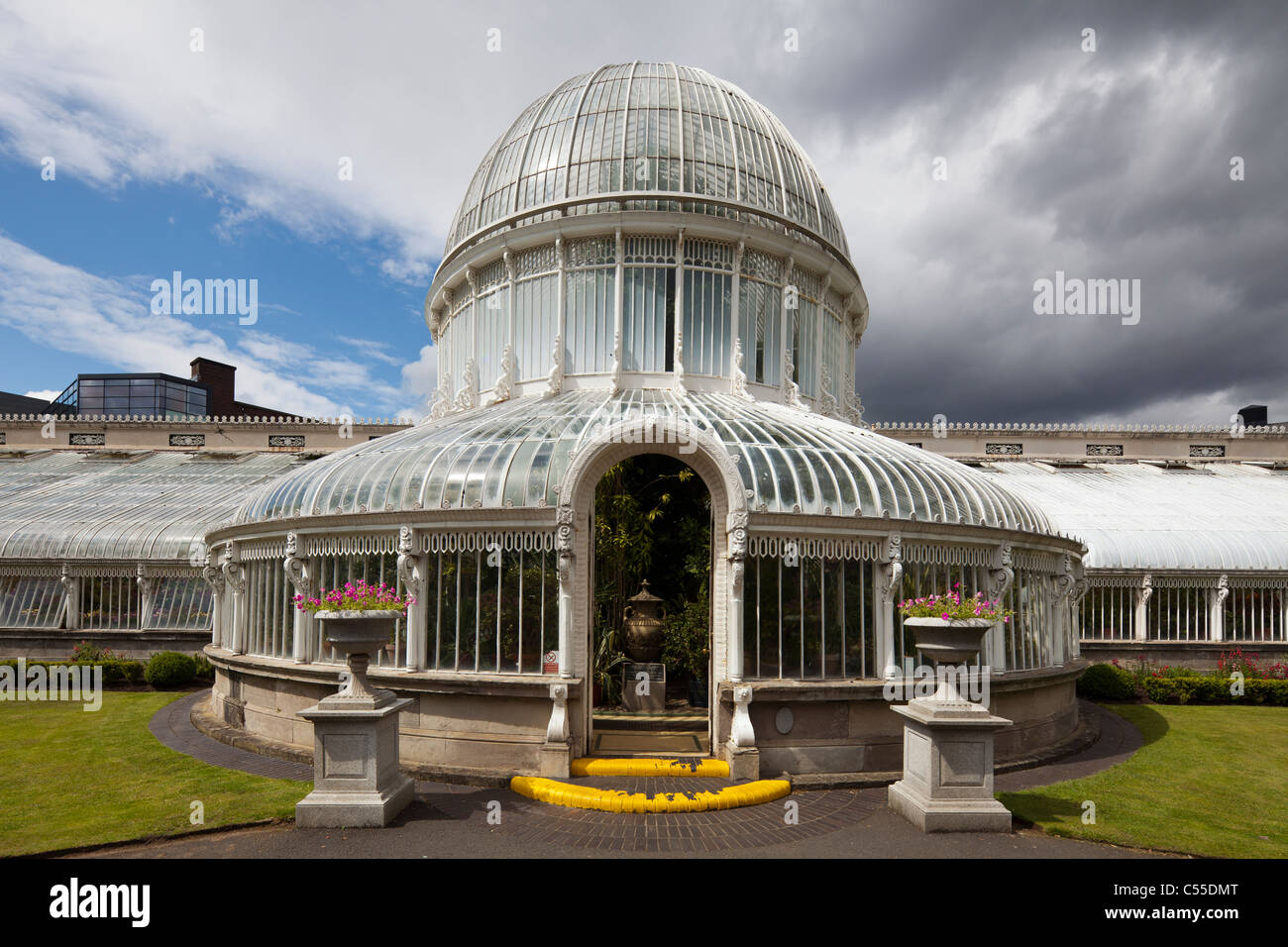 Palm House, jardins botaniques, Belfast, Irlande du Nord, Royaume-Uni Banque D'Images