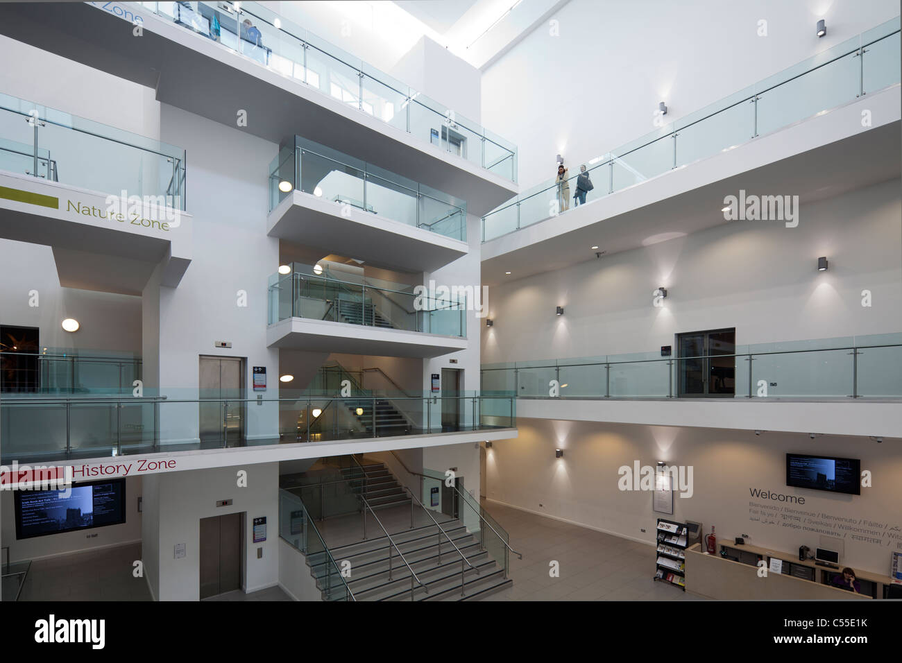 Nouveau Hall de l'Ulster Museum, Belfast, Irlande du Nord, Royaume-Uni Banque D'Images