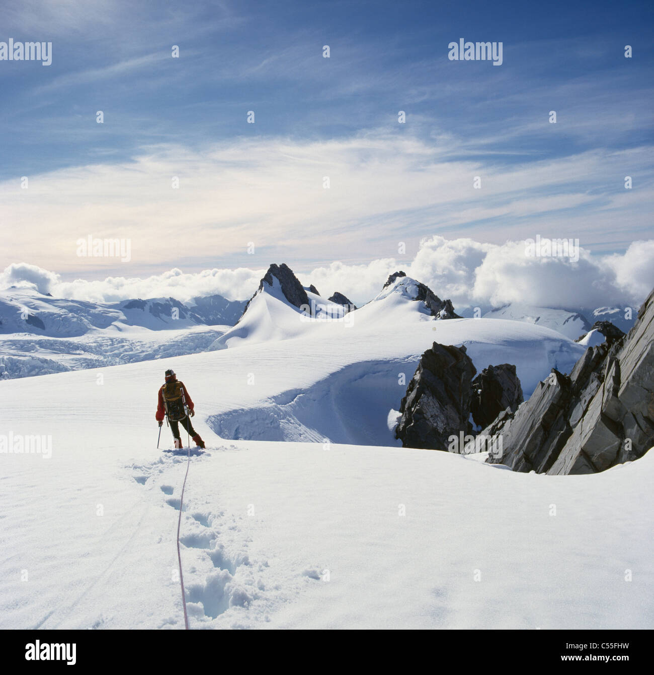 Nouvelle Zélande, île du Sud, l'Afrique du Westland, Alpes du Sud, à travers la neige balades touristiques Banque D'Images