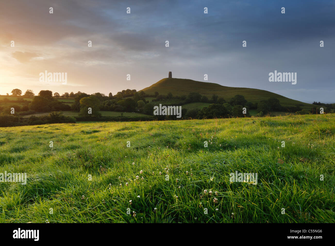 Tor de Glastonbury. Le Somerset. L'Angleterre. UK. Banque D'Images