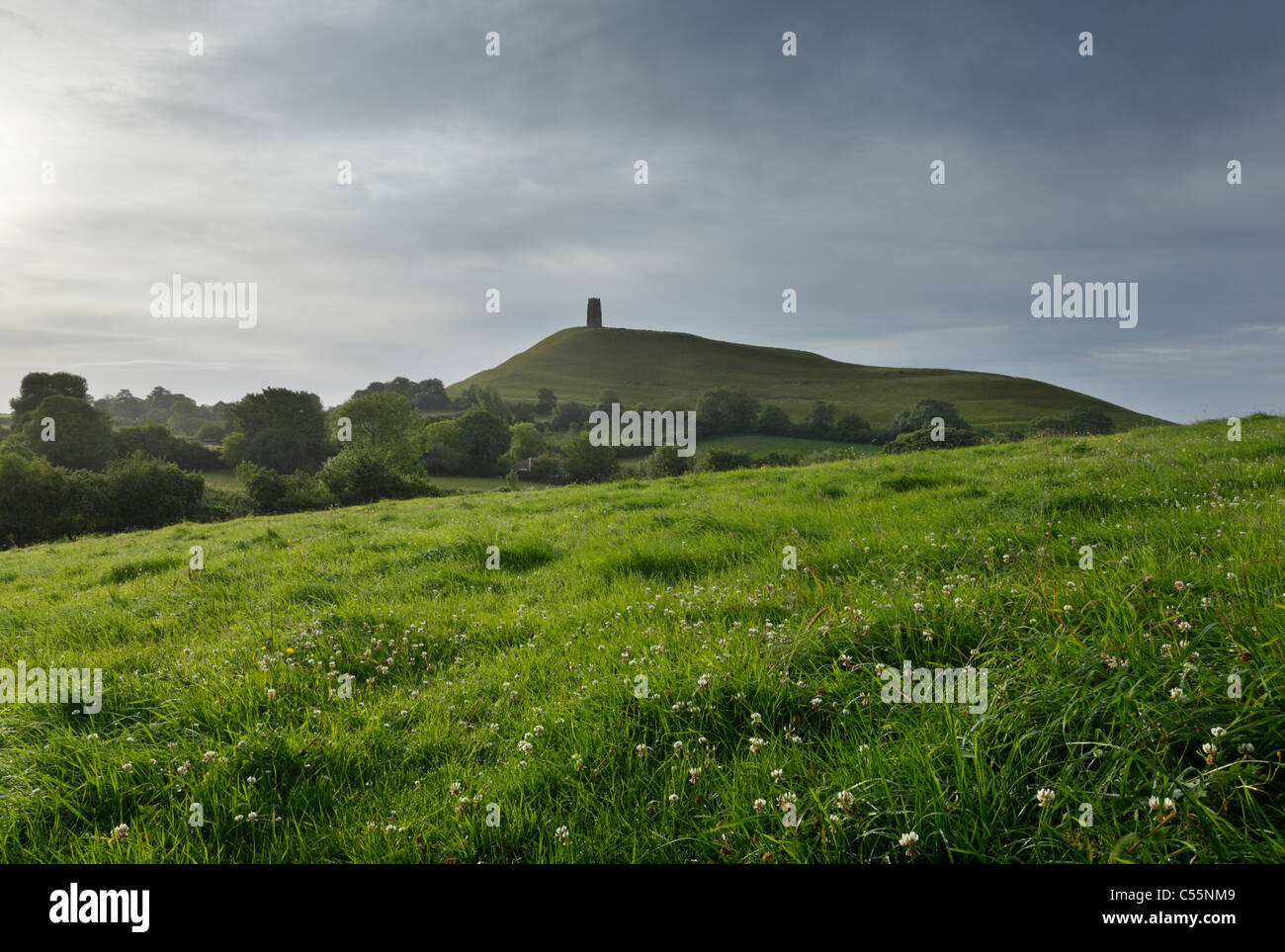 Tor de Glastonbury. Le Somerset. L'Angleterre. UK. Banque D'Images Tor de Glastonbury. Le Somerset. L'Angleterre. UK. Banque D'Images