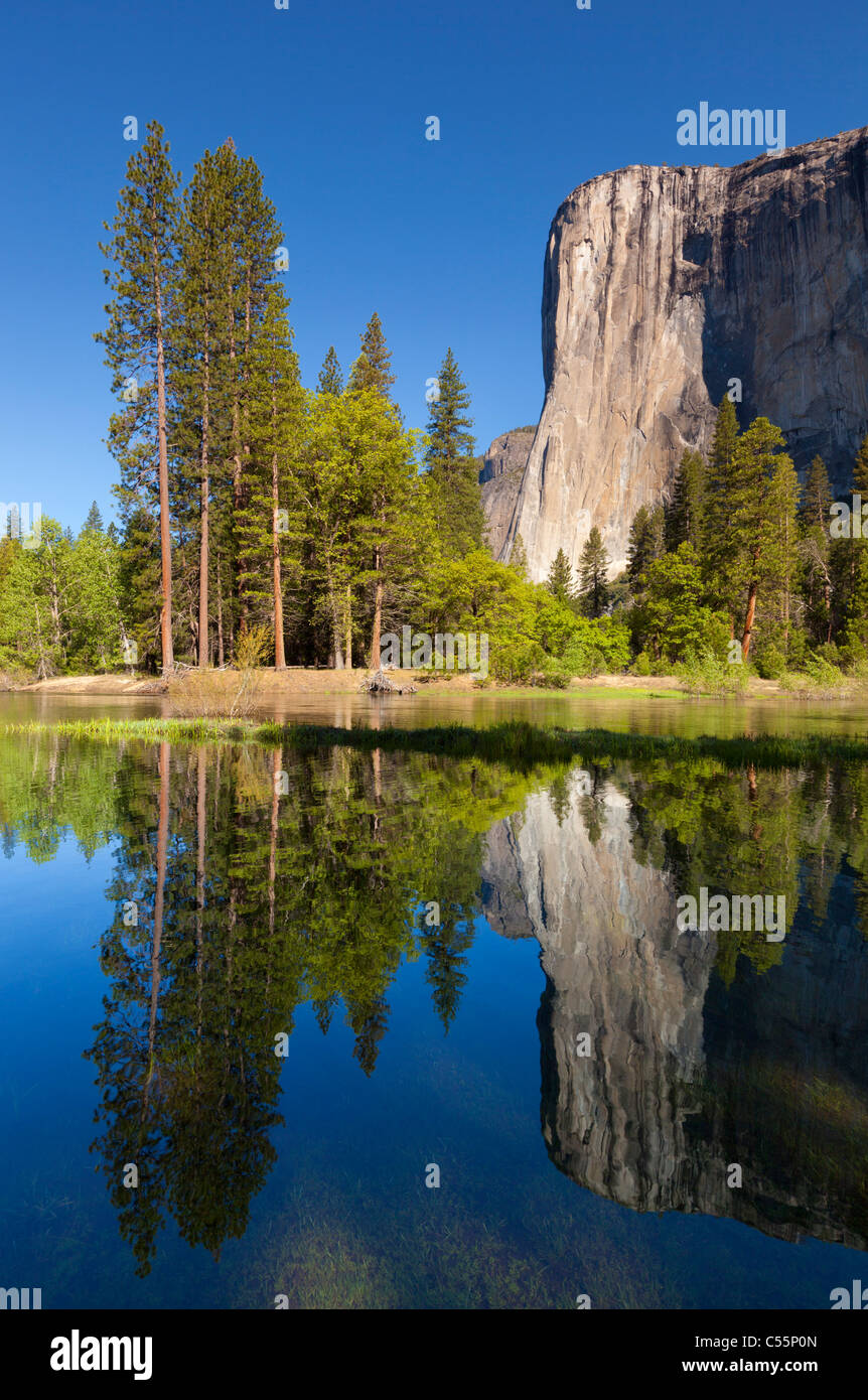 Yosemite National Park El Capitan avec la Merced river qui coule à travers la vallée de Yosemite Yosemite National Park California Banque D'Images