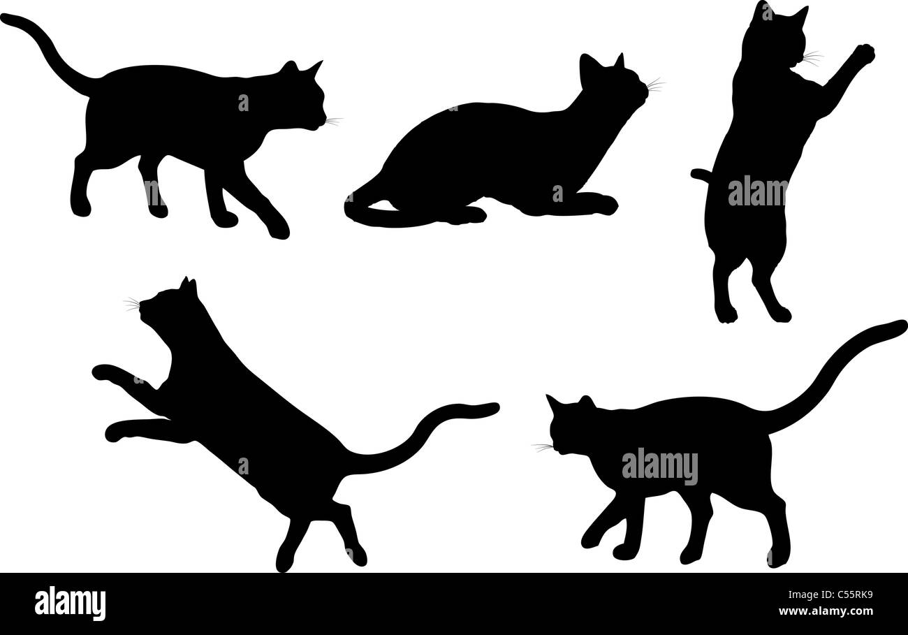 Silhouettes de chats dans diverses poses Banque D'Images