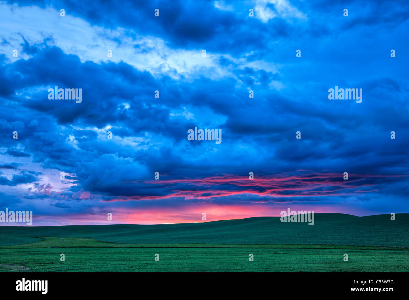 Nuages sur une ferme, Palouse, Washington State, USA Banque D'Images