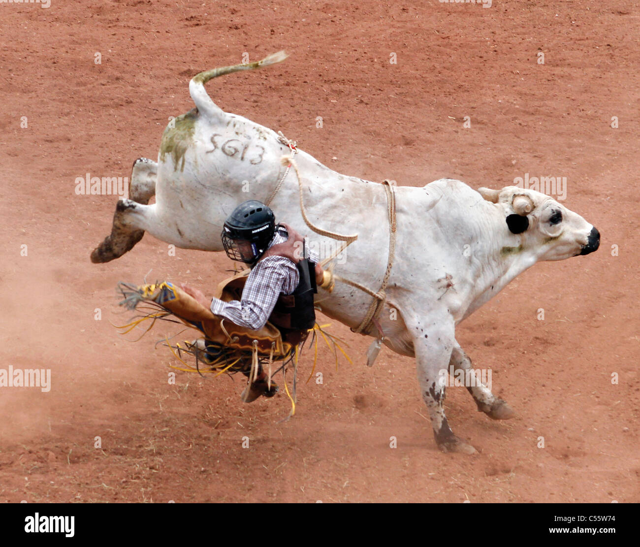 Concurrent sur le bull riding événement au rodéo indien annuel tenu à Mescalero, Nouveau Mexique. Banque D'Images