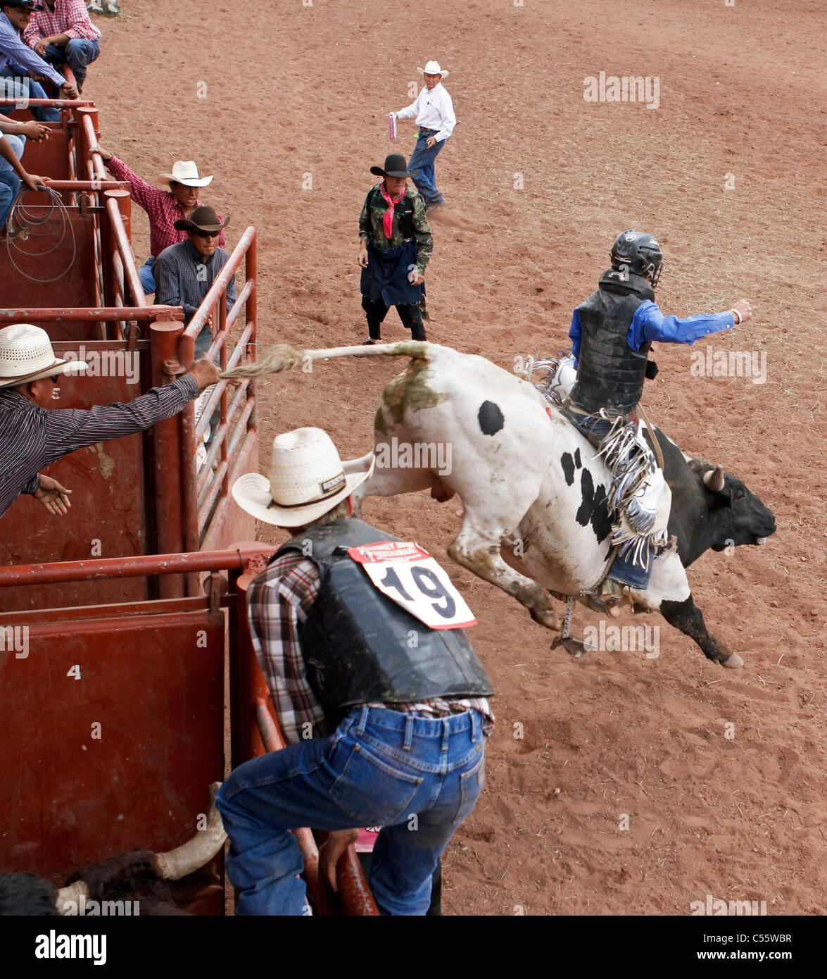 Concurrent sur le bull riding événement au rodéo indien annuel tenu à Mescalero, Nouveau Mexique. Banque D'Images